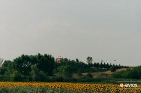 Ιερά Μονή Αγίας Σκέπης & Αγίας Παρασκευής Βύσσης με τους ηλίανθους τριγύρω