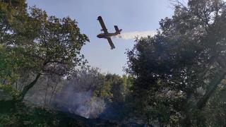 Πυρκαγιά ξέσπασε στην Κοτρωνιά του δήμου Σουφλίου (φωτο & video)
