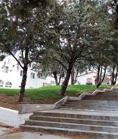 Σταυρίδειο Εκκλησιαστικό Ίδρυμα Περιθάλψεως Χρονίως Πασχόντων «Ο ΑΓΙΟΣ ΚΥΠΡΙΑΝΟΣ» της Ιεράς Μητροπόλεως Αλεξανδρουπόλεως 