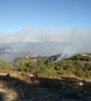 Η επόμενη μέρα μετά την πυρκαγιά στο Εθνικό Πάρκο Δάσους Δαδιάς-Λευκίμης-Σουφλίου (φωτο)