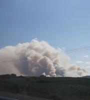 Συναγερμός στην Πυροσβεστική: Πυρκαγιά στην Λευκίμμη (video)