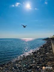 Sun, sea, and Alexandroupoli