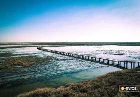 Pastoral bir manzara fonunda Evros Deltası'ndaki patikalar