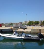 Rentals & Tours