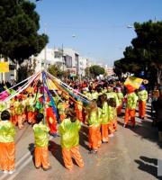 Ξεφάντωμα και πολύ χορός στην 2η καρναβαλική παρέλαση της Αλεξ/πολης.