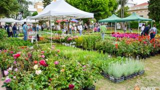 Ξεκίνησε το Hellenic Green Festival στην Αλεξανδρούπολη.