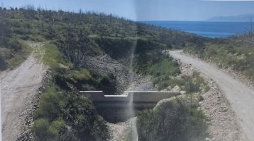 Στο τελικό στάδιο τα αντιπλημμυρικά έργα στα Δίκελλα - Στο 80% η φυσική αναγέννηση του δάσους