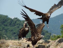 Ταξίδεψαν από την Νότια Αφρική για να γνωρίσουν το δάσος της Δαδιάς!