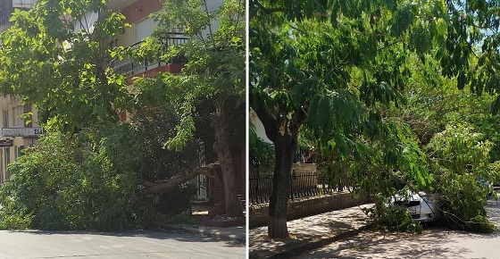 Μικρές ζημιές στην Αλεξανδρούπολη από τους ισχυρούς ανέμους των τελευταίων ημερών.