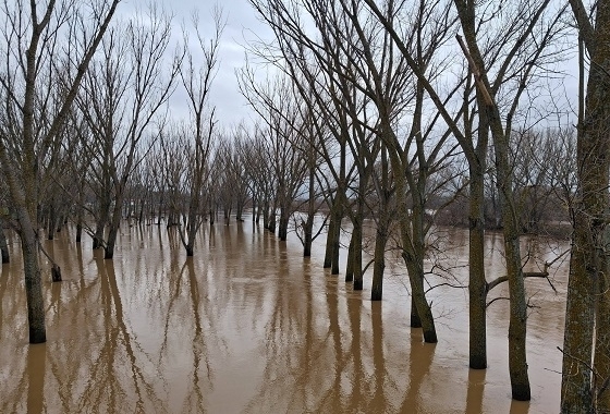 Ελεύθερη η χρήση νερού σε όλους τους οικισμούς του Διδυμοτείχου, μετά την άρση της απαγόρευσης.