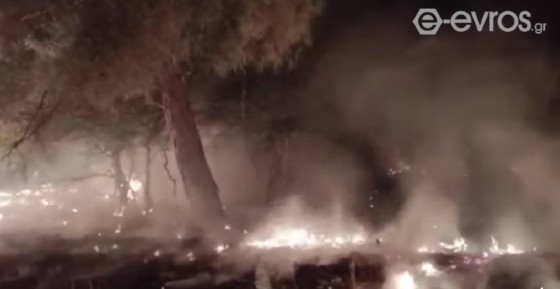 Συνεχίζεται για 5η ημέρα ο πύρινος εφιάλτης στο Εθνικό Πάρκο Δαδιάς