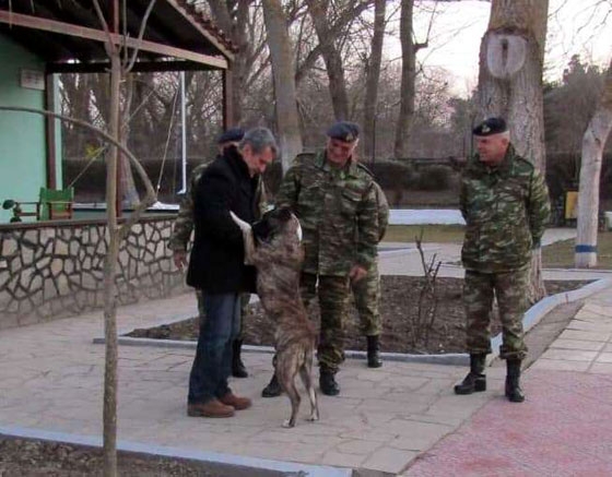 Σκύλος που κακοποιήθηκε σε τούρκικο φυλάκιο βρήκε καταφύγιο στο Πύθιο