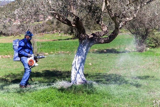 Προσλήψεις 13 ατόμων στην Περιφέρεια Ανατολικής Μακεδονίας και Θράκης