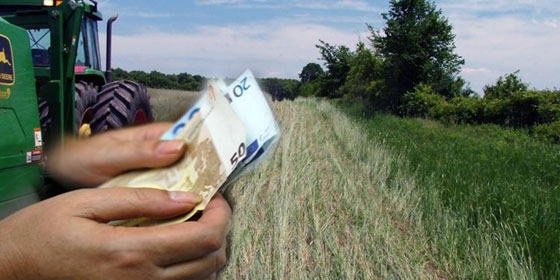 "Έπεσαν" οι υπογραφές για τις ενισχύσεις βάμβακος και σιτηρών Έβρου