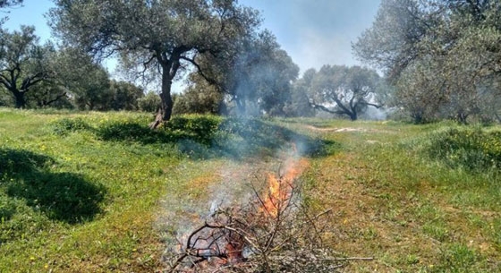 Η Π.Υ Διδυμοτείχου ενημερώνει για την απαγόρευση καύσης αγροτικών εκτάσεων - Βαριά πρόστιμα στους παραβάτες