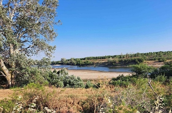 Η χαμηλή στάθμη των υδάτων στους ποταμούς Έβρο και Άρδα, προβληματίζει τους αγρότες.