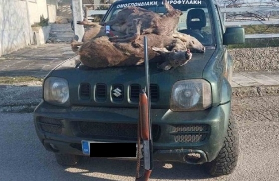 Τρία σκοτωμένα ζαρκάδια είχε στο αυτοκίνητό του λαθροκυνηγός στο Σουφλί.