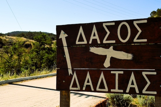 Μήνυμα Πρωθυπουργού: Έργα 86 εκατ. ευρώ για την αποκατάσταση και πρόληψη στη Δαδιά Μήνυμα Πρωθυπουργού: Έργα 86 εκατ. ευρώ για την αποκατάσταση και πρόληψη στη Δαδιά