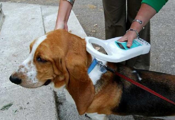 Ορεστιάδα: Υποχρεωτική η ηλεκτρονική σήμανση των δεσποζόμενων ζώων