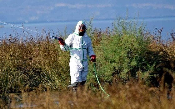Το εβδομαδιαίο πρόγραμμα ψεκασμών για τα κουνούπια στον Έβρο
