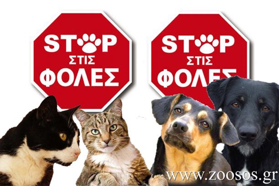 Προστέθηκε στην "λίστα" θανάτων ακόμη ένα αδέσποτο σκυλί στην περιοχή των Δικέλλων