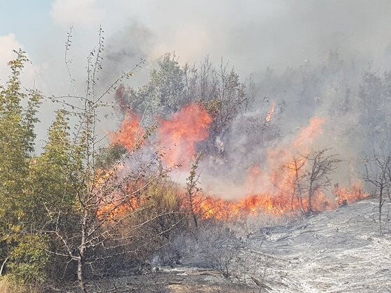 Πυρκαγιά σε δασική έκταση στη Λευκίμη Σουφλίου (video - φώτο)